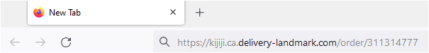 Image of the phishing url in the Firefox browser address bar